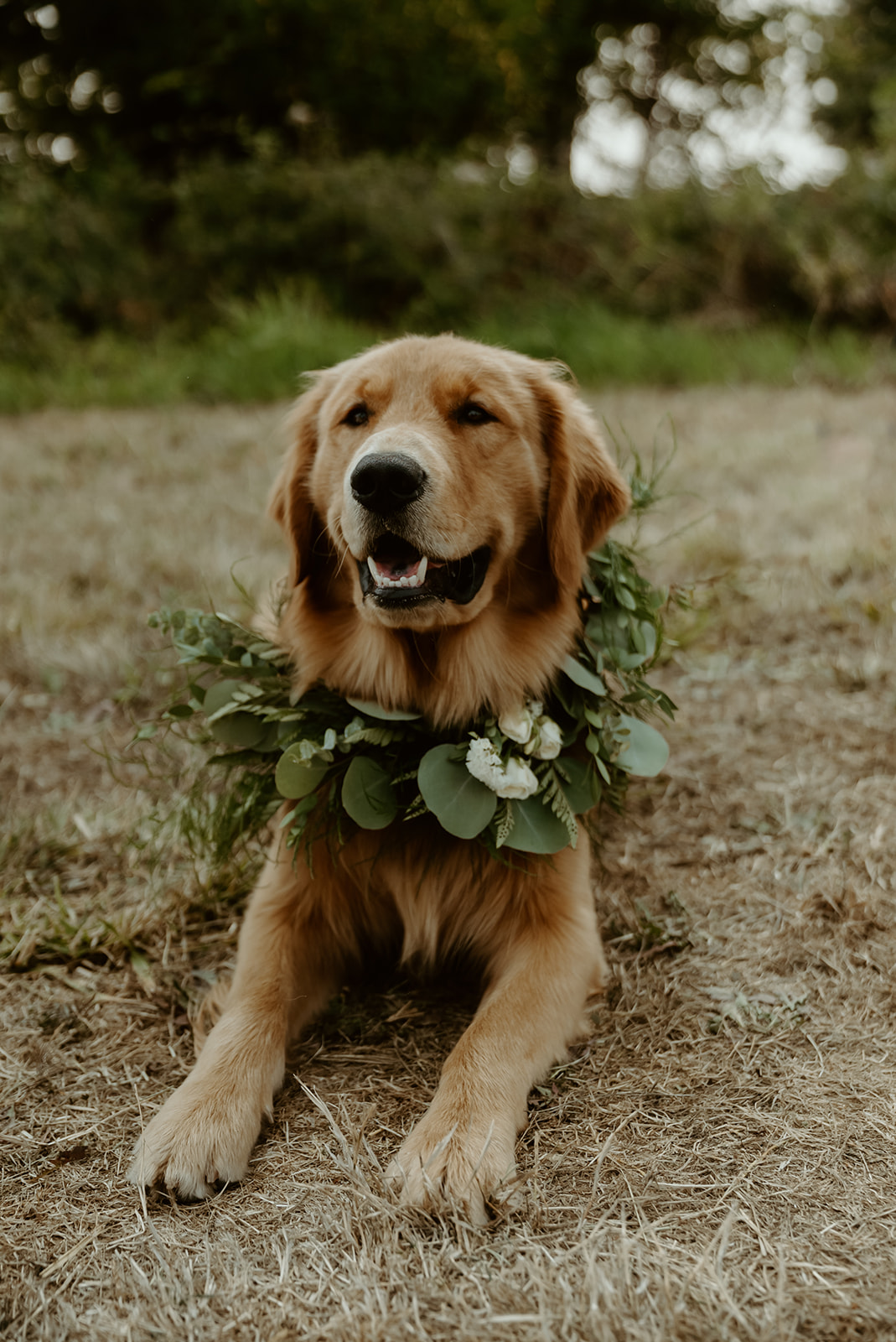 carey + devon – lavender farm wedding