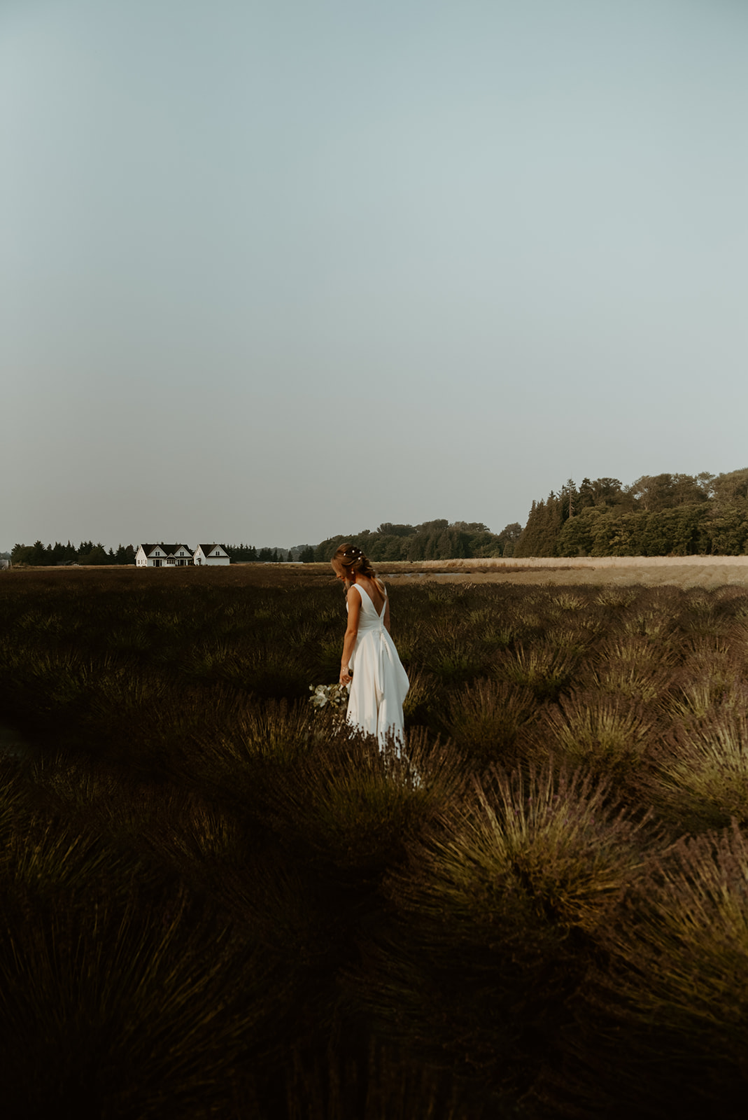 carey + devon – lavender farm wedding