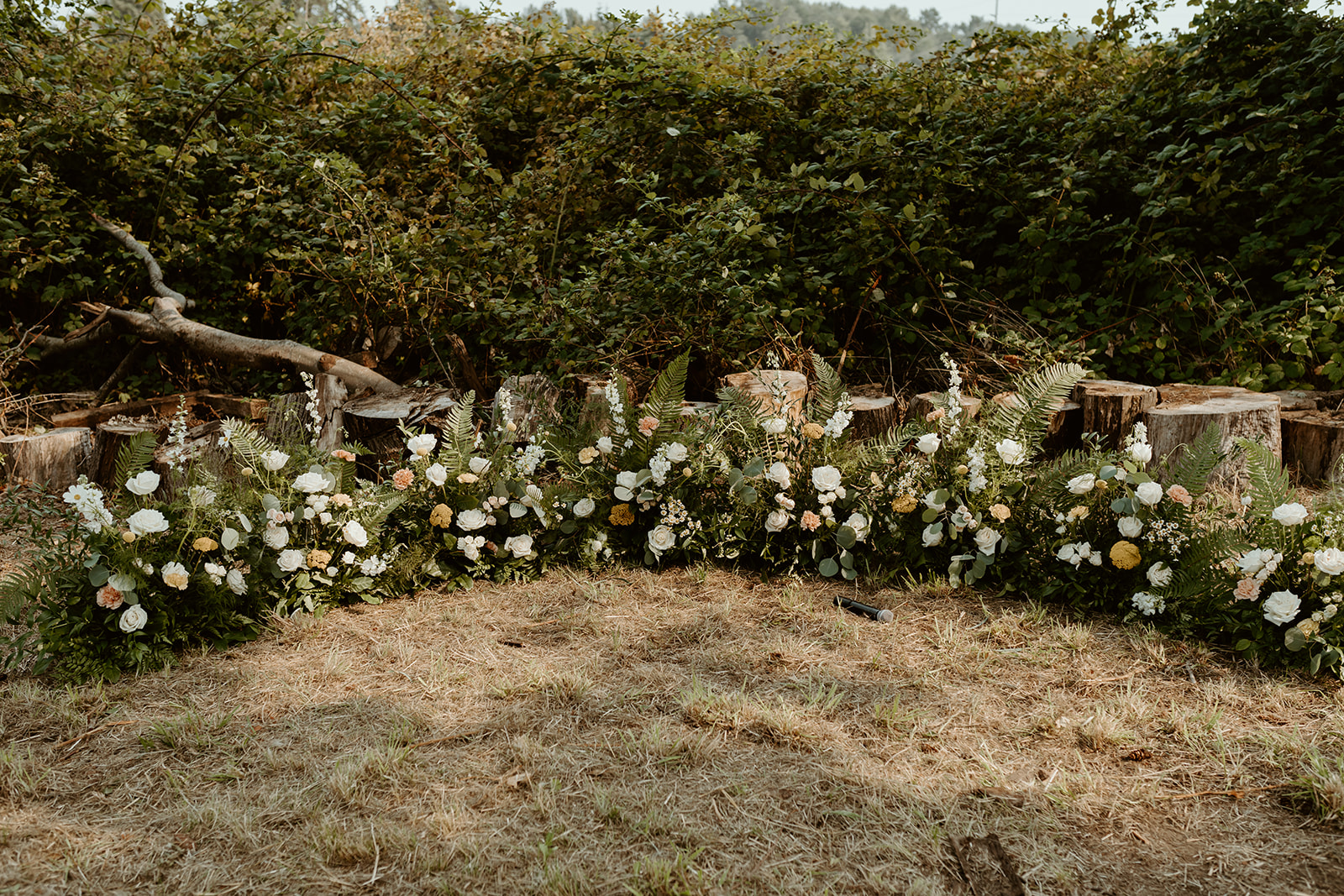 carey + devon – lavender farm wedding