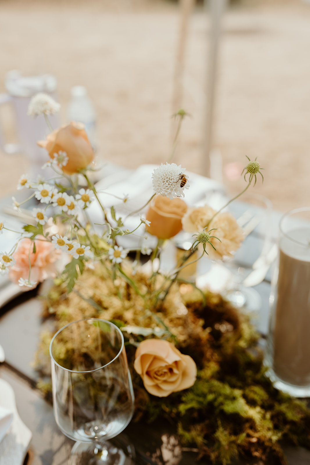 carey + devon – lavender farm wedding