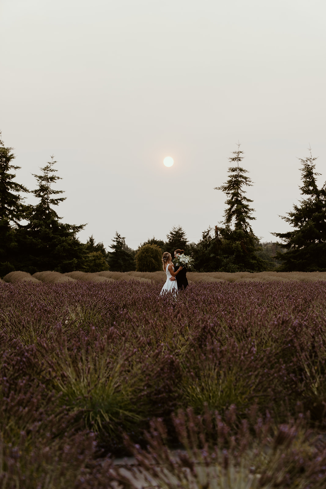 carey + devon – lavender farm wedding