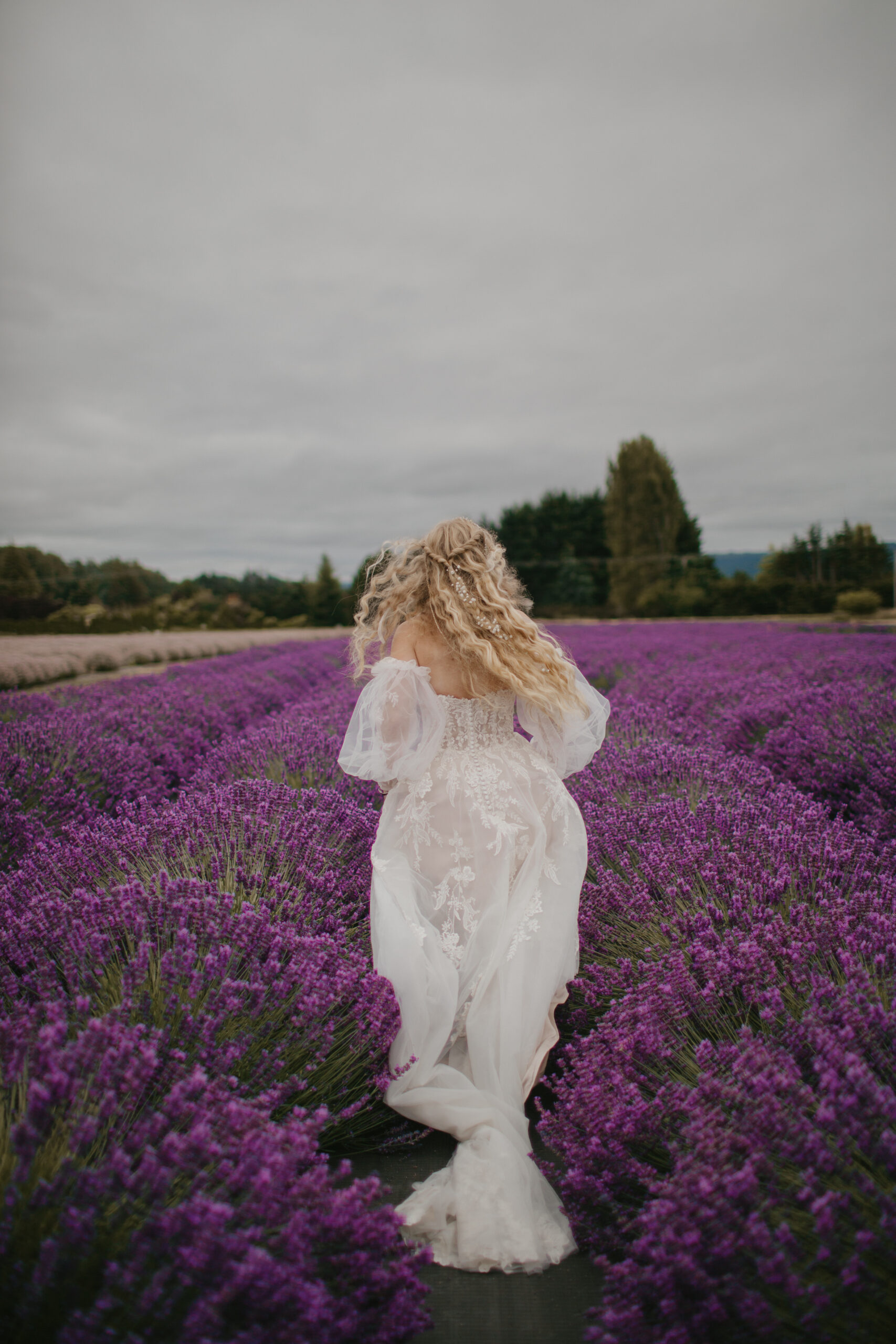 tallfirsphotography